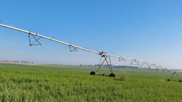 La tecnología ya es imprescindible en el sector agroalimentario.