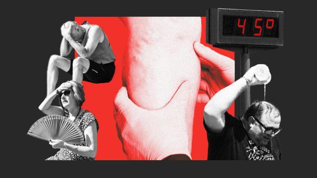 Una de cada cuatro muertes en nuestro país se debe a afecciones relacionadas con la trombosis.