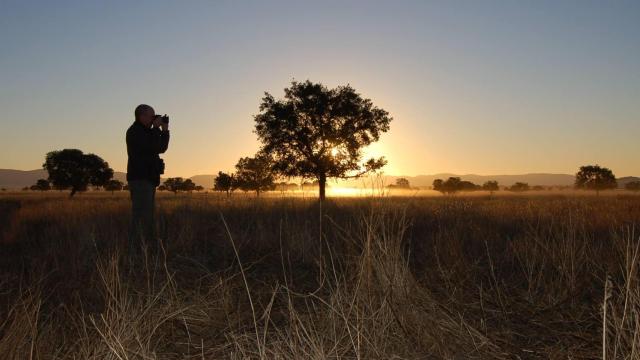 Una imagen del Parque Nacional de Cabañeros al anochecer.