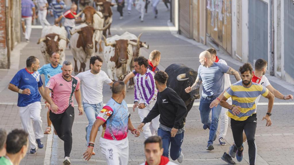 Imagen del tercer encierro de Cuéllar