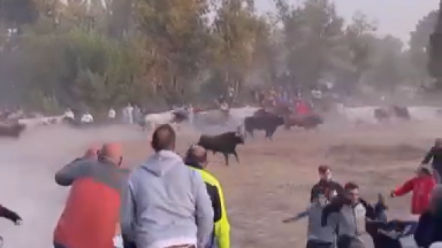 Cuarto encierro de Cuéllar
