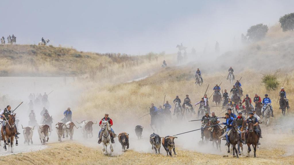Último de los encierros de Cuéllar