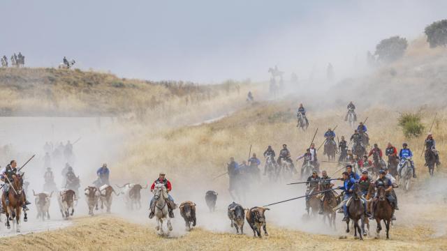 Último de los encierros de Cuéllar