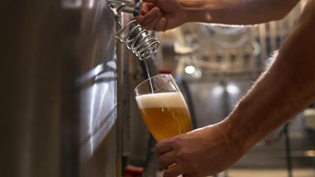 Esta cerveza española se corona como la mejor del mundo (por tercer año consecutivo)