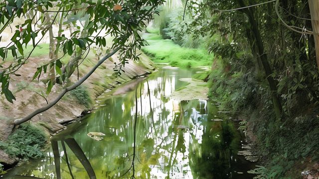Río Gafos