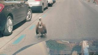 Foto: Policía Nacional