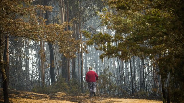 Incendio en Crecente (Pontevedra)