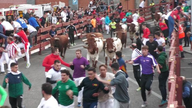 Imagen del primer encierro de la Feria de Guadalajara.