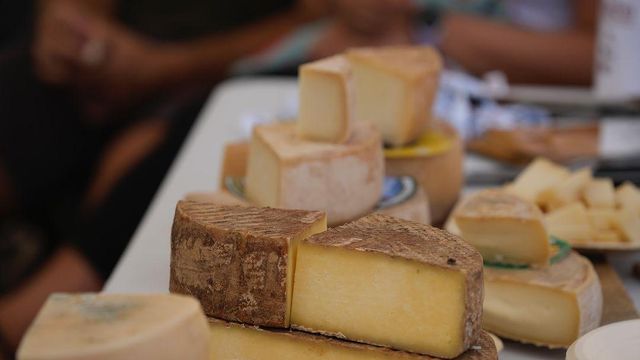 La feria del queso zamorana con más de 1.200 clases donde se elige el Mejor Fromelier de España