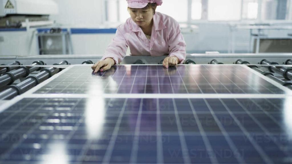 Un panel fotovoltaico.