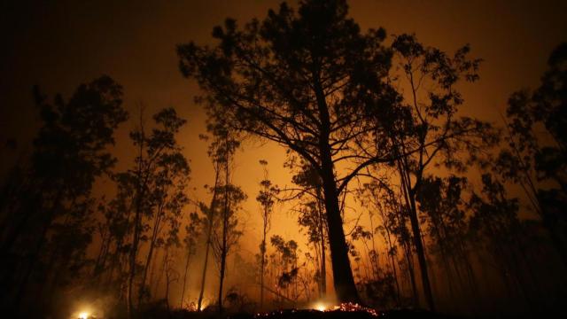 Un incendio en Galicia en 2023.