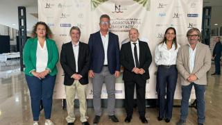 El conseller Vicente Martínez Mus junto al alcalde de Orihuela, PePe Vegara y el catdrético Joaquín Melgarejo.