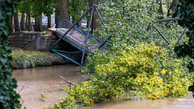 Estado en el que ha quedado la pasarela en el río Duero en Soria tras caerse un árbol