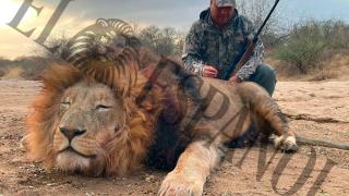 Imagen enviada por Claudio Rivas a Aldama tras una de sus cacerías en África.