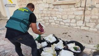 Los agentes han recuperado 100 kg de uva.