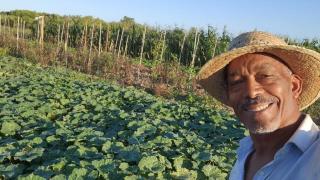 Alcides Almeida, en su huerta de Benijófar.