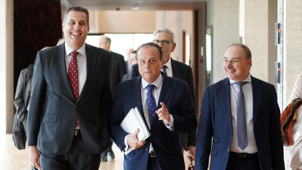 El presidente del Consejo de Cuentas de Castilla y León, Mario Amilivia, durante una comparecencia en las Cortes