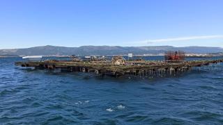 Batea de Mejillones en A Illa de Arousa.