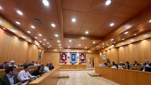 Imagen del pleno municipal celebrado este viernes en Talavera de la Reina.