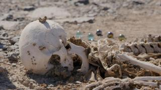 Pierre Huyghe, la vida en las fronteras