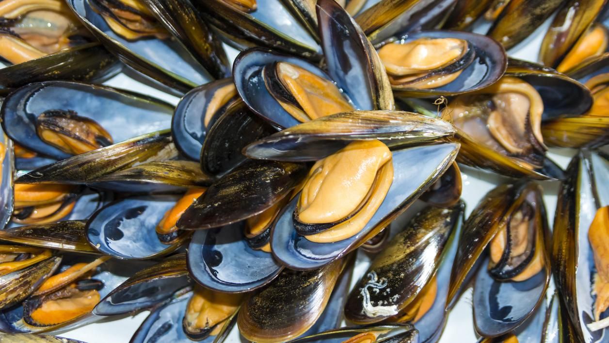 Mejillones.
