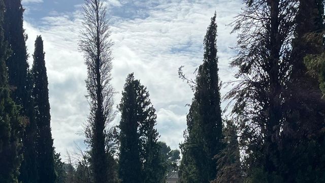 El puente ha propiciado que las visitas al cemeterio se hayan escalonado desde el pasado miércoles.