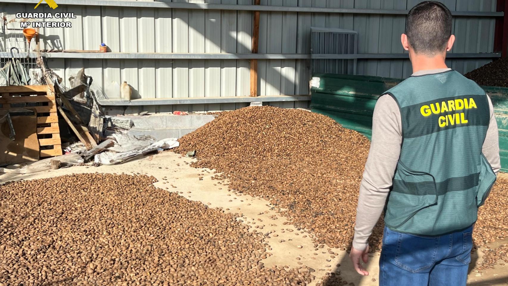 Imagen de archivo de un robo de almendras en una finca agrícola en noviembre.