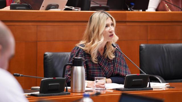 Mar Vaquero, este lunes, en el Parlamento autonómico.