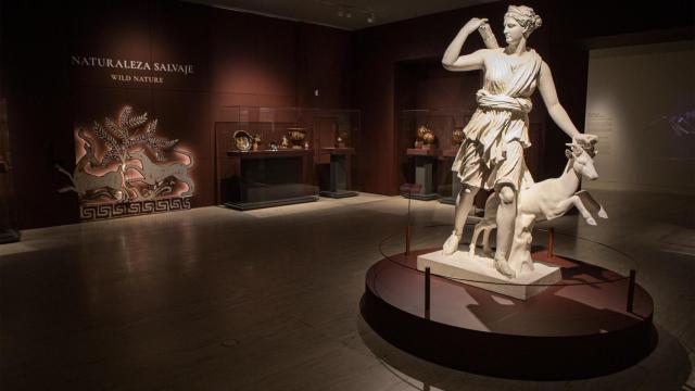 Vista general de la exposición