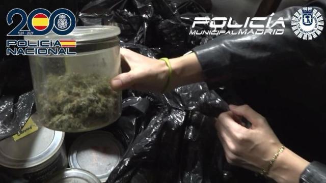 Hachís preparado para su venta.