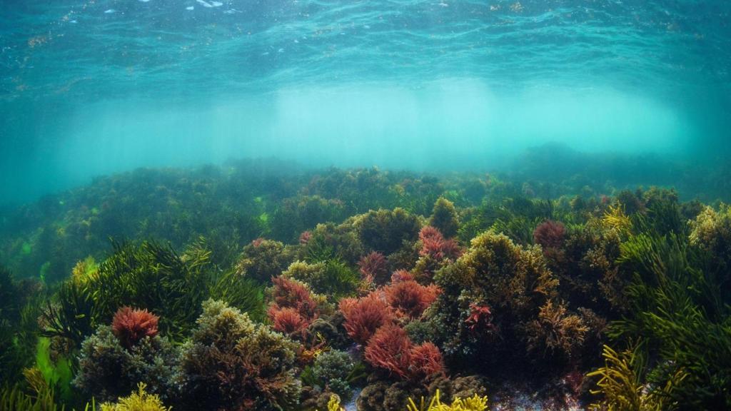 El proyecto contempla un recorrido de más de 5 mil kilómetros.