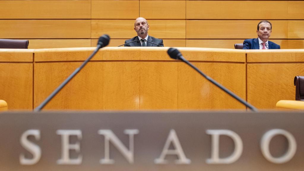 El presidente del Senado, Pedro Rollán.