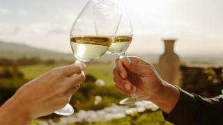 Estos son los vinos de un pueblo de la Mancha que triunfan en Corea y Japón