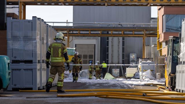 Los bomberos trabajando en la farmacéutica Alcaliber de Toledo.