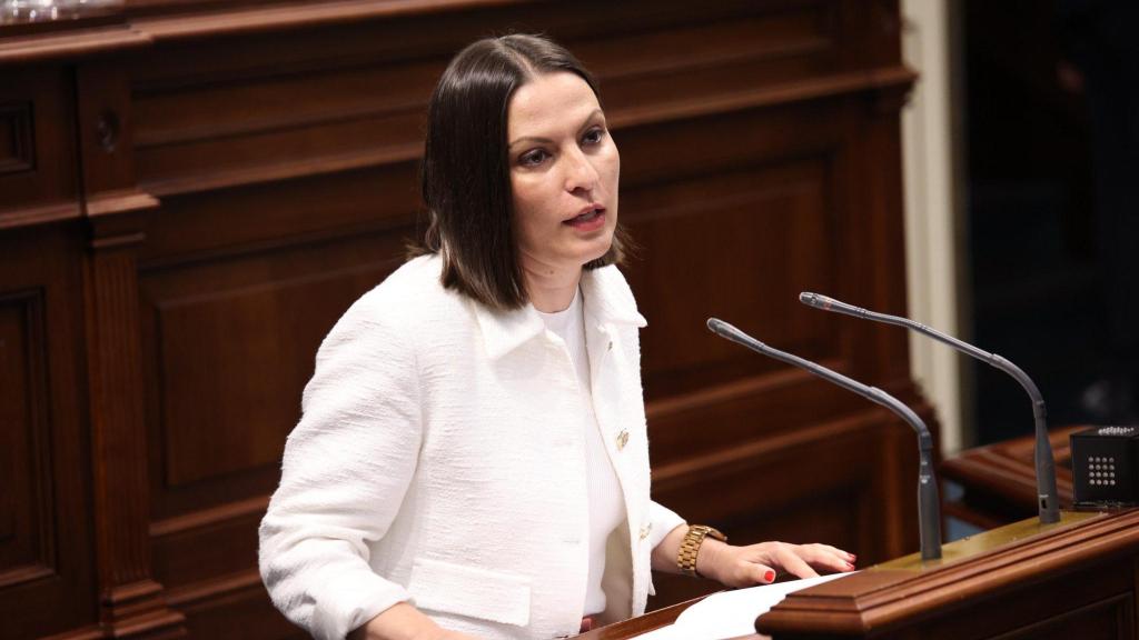 La consejera canaria Migdalia Machín, durante una comparecencia.
