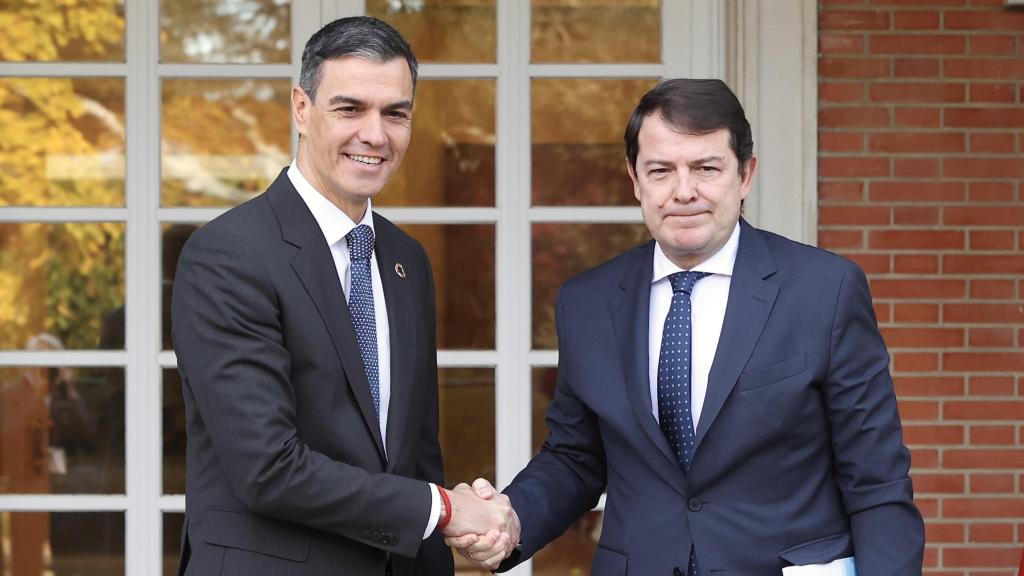 El presidente del Gobierno, Pedro Sánchez, durante una reunión con el presidente de la Junta, Alfonso Fernández Mañueco