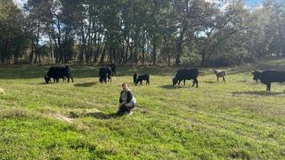 El esperanzador proyecto de una ganadera en un conocido pueblo de Ávila para revitalizar el mundo rural
