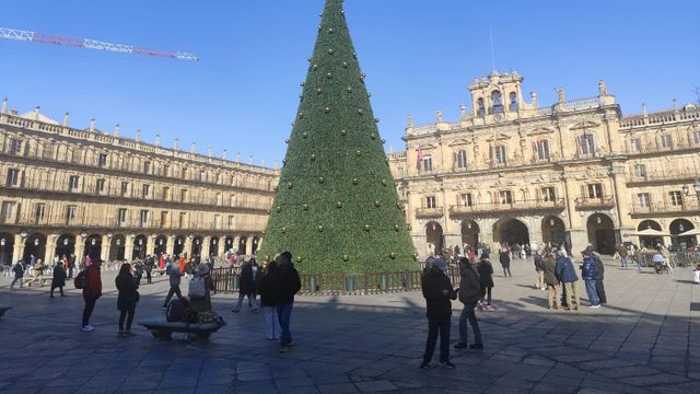 Árbol de Navidad en la Plaza Mayor de Salamanca