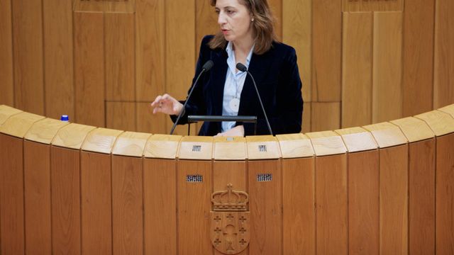 La conselleira de Medio Ambiente e Cambio Climático, Ángeles Vázquez.