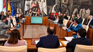 Pleno de la Diputación de Ciudad Real.