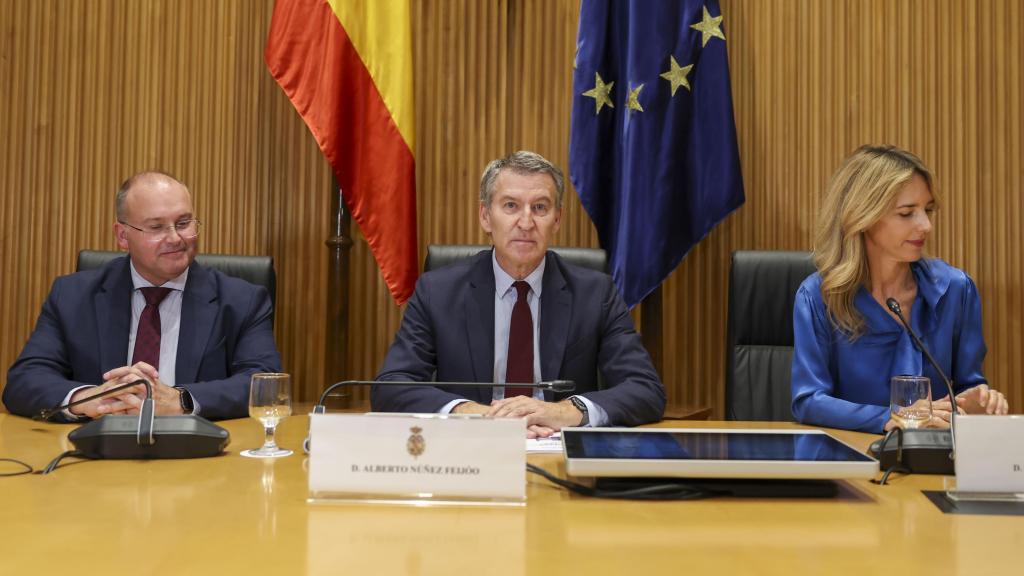 Miguel Tellado, Alberto Núñez Feijóo y Cayetana Álvarez de Toledo, el pasado mes de diciembre en el Congreso de los Diputados.