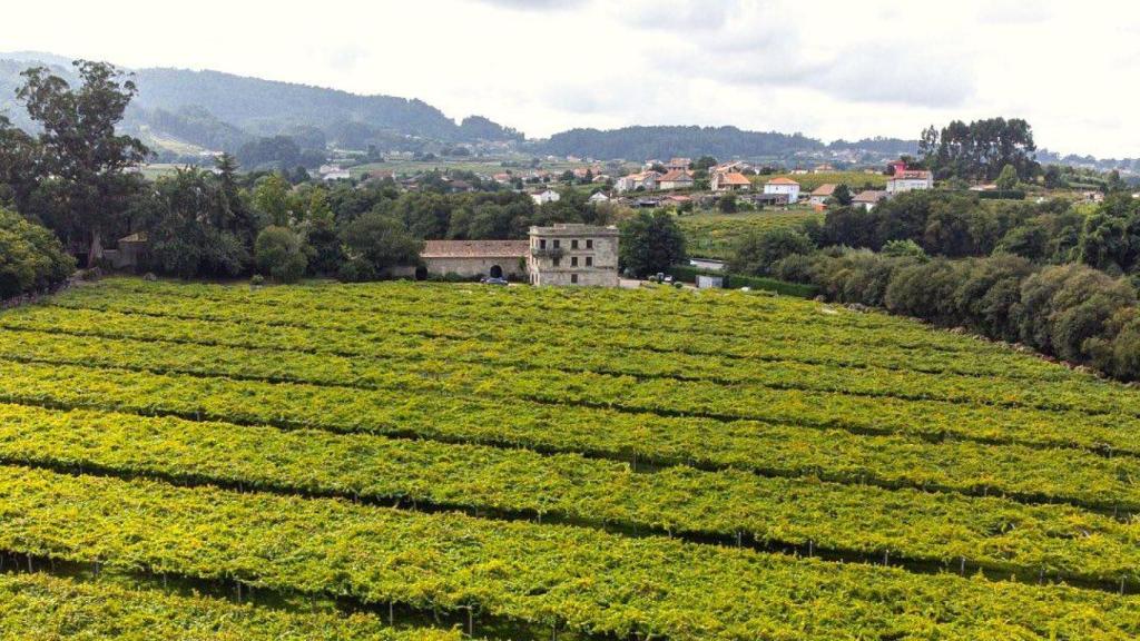 Vista aérea del pazo y los viñedos