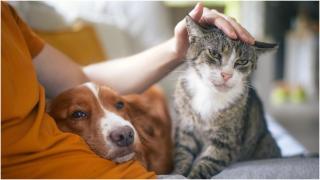 BeFunky-collage(138)