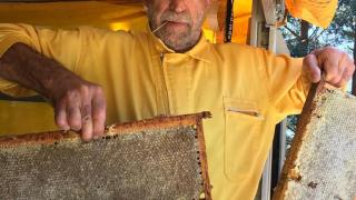 Pepe Briz, un apicultor que ha dedicado su vida a las abejas.