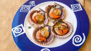 ¿Sabes las diferencias entre zamburiñas, vieiras y volandeiras? Que no te la cuelen con este marisco