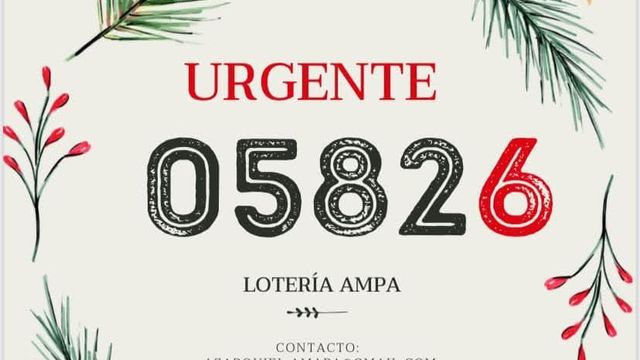 Ojo si tienes lotería de Navidad de este instituto de Toledo: el número que juegas no es el de la papeleta