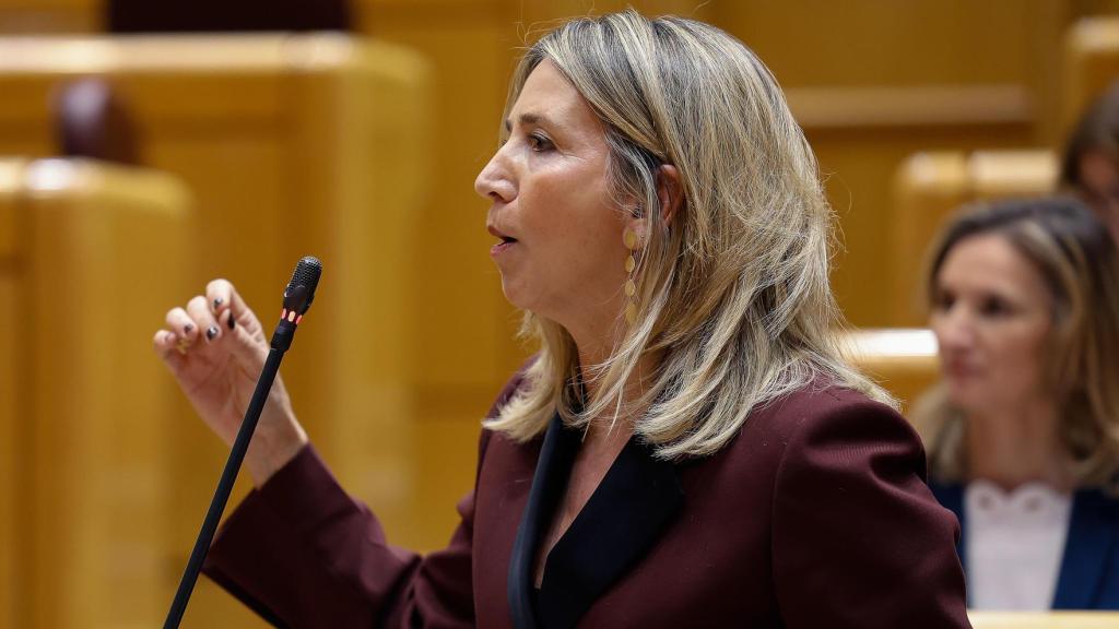 La portavoz del PP en el Senado, Alicia García, en una sesión de control al Gobierno.