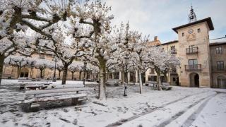 Paisaje nevado en Briviesca, Burgos.