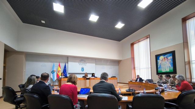 Comisión de investigación de la contratación de la Xunta en el Parlamento de Galicia, 28 de noviembre de 2024