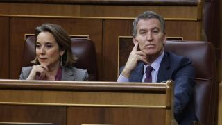 La secretaria general del PP, Cuca Gamarra, y el presidente del partido, Alberto Núñez Feijóo, este jueves en el Congreso.